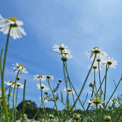 ba_na_na_mi_128's profile picture. 