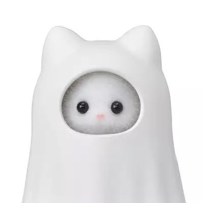 sylvanian_arc's profile picture. 한국 • 일본 실바니안 정보