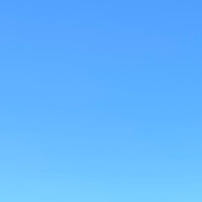 est_ce_que_vos's profile picture. 東大 B3