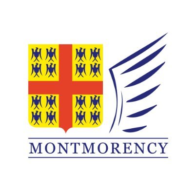 Bienvenue sur le compte officiel de la Ville de Montmorency dans le @valdoise ! #Montmorencymaville