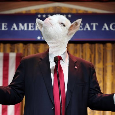 Moose9869532's profile picture. Crypto Degen - $MOOSE - Smug Goat