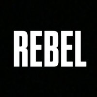 REBEL (@rebel_the_vibes) 's Twitter Profile