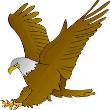 @patriotsru47245