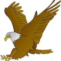 patriotsrule (@patriotsru47245) 's Twitter Profile Photo patriotsrule (@patriotsru47245) 's Twitter Profile Photo