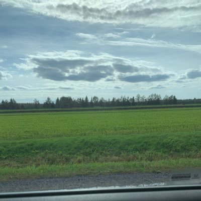 YOYO99_Sean's profile picture. 