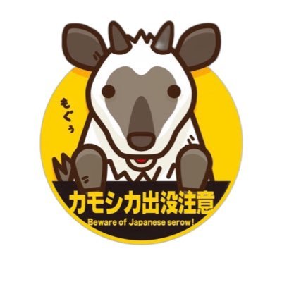 Serosuke250's profile picture. SEROW250で平日バイク便、休日はバイク関連の動画編集の日々
