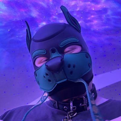 𝓯𝓻𝓮𝓪𝓴𝔂 Dallas 🔜 ANEさんのプロフィール画像