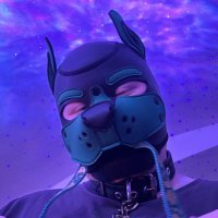 ๐ฏ๐ป๐ฎ๐ช๐ด๐ Dallas (@bullhonkers) 's Twitter Profile Photo ๐ฏ๐ป๐ฎ๐ช๐ด๐ Dallas (@bullhonkers) 's Twitter Profile Photo