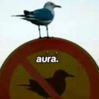 Masry (@masry_cr) 's Twitter Profile Photo