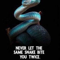 Kamal (@kamalahmad042) 's Twitter Profile