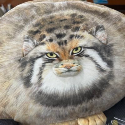 university119's profile picture. 東海￤法学部￤2年 #ほぼ毎日自炊日記