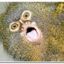 Bill McHugh - @McQ65 - Twitter