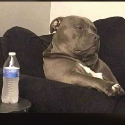 Xr_einer's profile picture. 