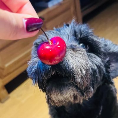 emiliaglz11's profile picture. 