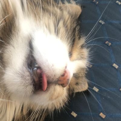 GeraldGs007's profile picture. Realist. Kritisch. weder auf dem rechten noch auf dem linken Auge blind. Und mit der besten Frau der Welt verheitatet.