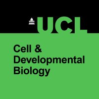 UCL Research Dept of Cell & Developmental Biology (@uclcdb) 's Twitter Profile