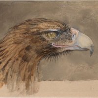 Dr Stuart Eagles (@a_ruskinian) 's Twitter Profile Photo Dr Stuart Eagles (@a_ruskinian) 's Twitter Profile Photo