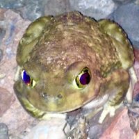MizzouraBoatRide (@mizzboatride) 's Twitter Profile