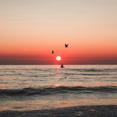 kumar_raut51103's profile picture. 