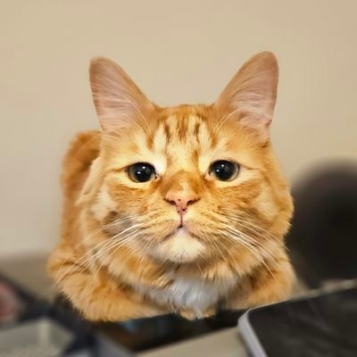 Woshy73's profile picture. 