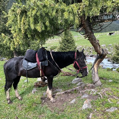 karton1878's profile picture. 