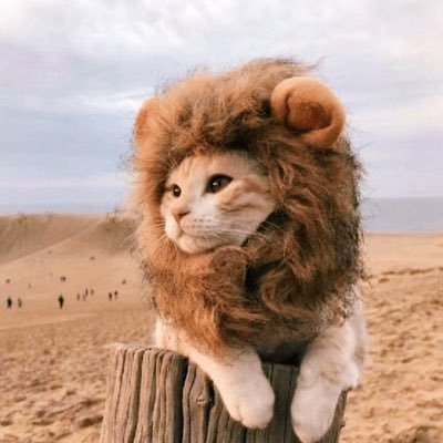 VictoriaYZ83838's profile picture. 