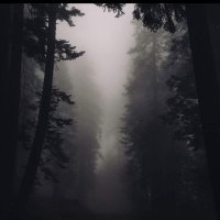AuditoryRhythms (@instinctive111) 's Twitter Profile