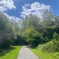 paige (@peeemmbee) 's Twitter Profile