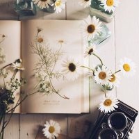 ARWA (@arwaalasfour_) Twitter profile photo