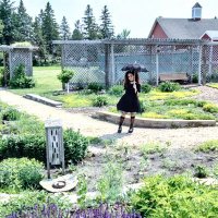 Mari Marrow (@marazapox) 's Twitter Profile