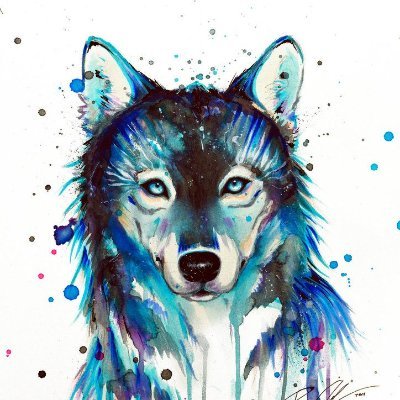 IamCOD3X's profile picture. 