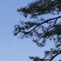 こば (@jdhikdjdkfiwufh) 's Twitter Profile