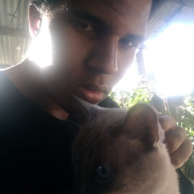 pauloさんのプロフィール画像