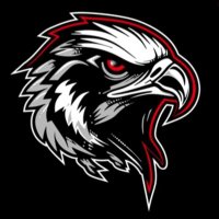 North Buncombe Baseball (@nb_blackhawkbsb) 's Twitter Profile