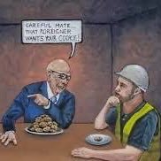 Deb Brown (@debbrow16344984) 's Twitter Profile Photo