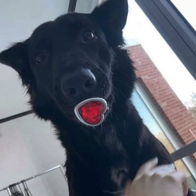 chabizounian's profile picture. n’oublie pas que mes yeux sont partout