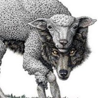 options bozo (@optionsbozo) 's Twitter Profile
