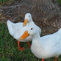 M Jones (@jonesoyl1776) 's Twitter Profile Photo M Jones (@jonesoyl1776) 's Twitter Profile Photo