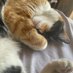 Noodles (@maknaenoodles) Twitter profile photo Noodles (@maknaenoodles) Twitter profile photo