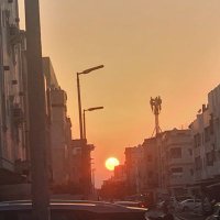 One0world (@yasersa89379729) 's Twitter Profile