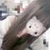 しらたまちゃん (@shiratamac34781) Twitter profile photo しらたまちゃん (@shiratamac34781) Twitter profile photo