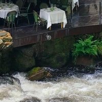 Manuel Freire /natur (@manuelfreireea) 's Twitter Profile