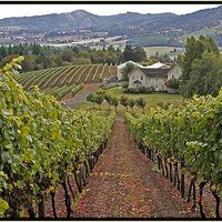 David Hill Winery (@david_hill_wine) 's Twitter Profile