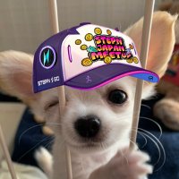 ⚡MetaXN_FSL 🌈 (@metaxn_fsl) 's Twitter Profile