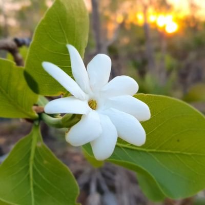 Jen240004636036's profile picture. 