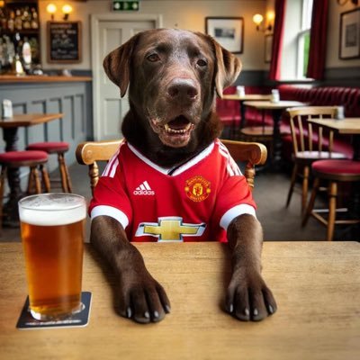 DHumphreys77's profile picture. 