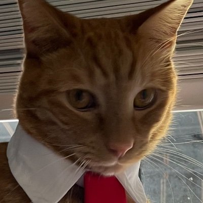 Txj47hrk8wRoss's profile picture. 