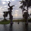 Curtis Blair - @curtisViLife - Twitter