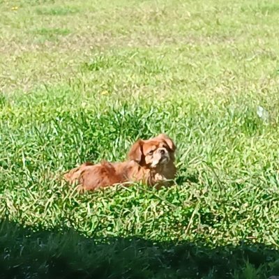 DJEK644747's profile picture. 