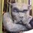 MacDuff_LeadOn's profile image